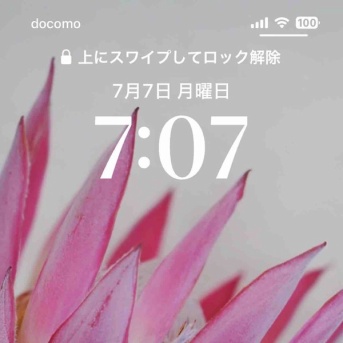 節目に何する？（オンラインで無料で取得できる資格あれこれ）