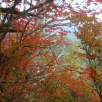 山スキーと藪山逍遥