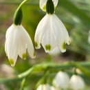 【言葉が変われば未来も変わる】 3182