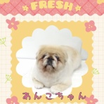 日々、ＪＡＭにあり