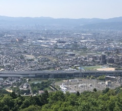 2026年の公示地価が上昇してる！交野市は住宅地＋1.2%、商業地＋4.6％