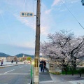 京都へ行って来ました4…八坂さんと円山公園