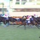 【競馬】ドゥラエレーデが電撃復帰　昨年末の引退発表を撤回して大井・藤田厩舎で現役続行へ