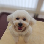 滋賀県 ペットショップワンラブ ピエリ守山店スタッフブログ