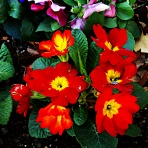 つれづれげえ日記