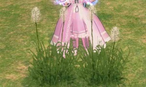 草むらから木の実？そもそも叩けないと思ってた？