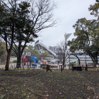 ベイスターズ応援日記＠星覇会