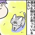 3分の1なついてる