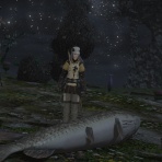 FFXIV Story & Words