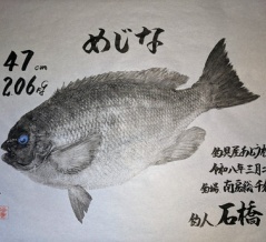 3月25日　魚拓完成