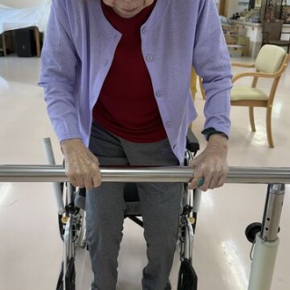 さわやかダイアリー