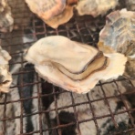 のほほ～んと更新していくブログ