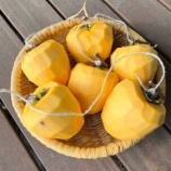 『干し柿、始めました』の画像