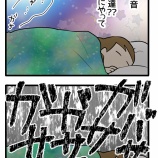 夜中のガサガサ音に飛び起きた話