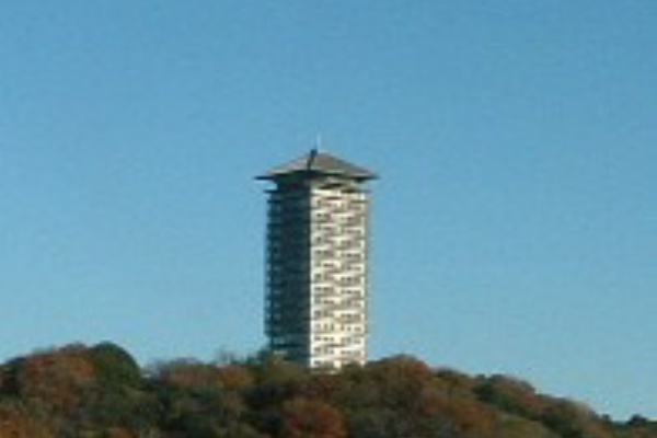 横浜ドリームランド公園 自然観察ニュース