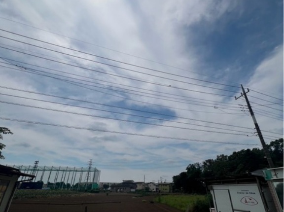 今日も暑くなります😅💦