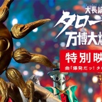 まだずっと寝てる