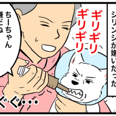 ちーちゃんっ🐾