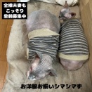 ヒミツ夫妻のヒミツ