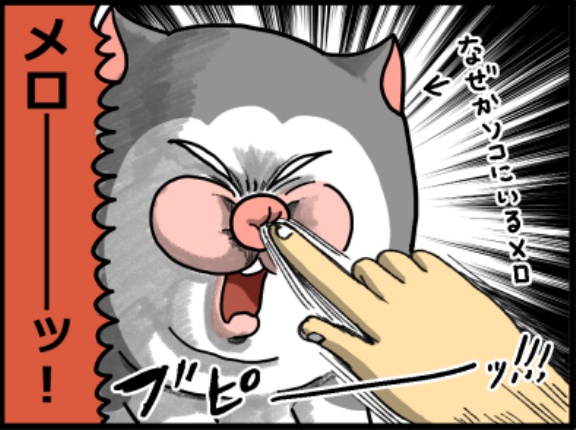 恐ろしく早い鼻クソの先にいた猫