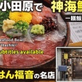 夜の小田原で神海鮮丼に出会った｜一膳飯屋「八起」新幹線帰りの至福メシ