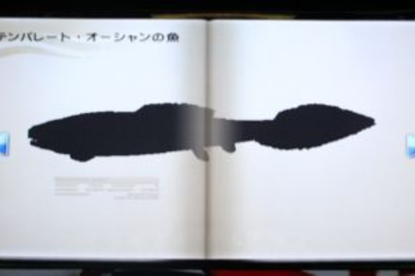 どうぶつの森 と過ごす日々 図鑑