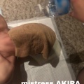 奴隷の満月