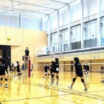 シーガル・バレーボールスクールのblog