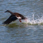 きららきらら☆