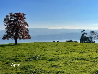 本日より冬時間へ🇨🇭