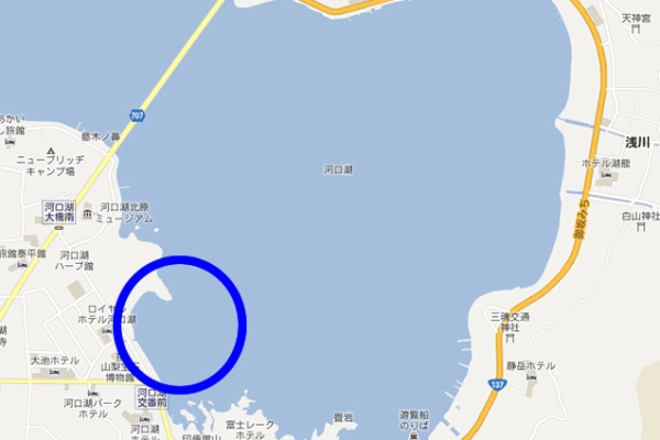 埼玉県バス釣り ポイント紹介ブログ 釣行日記 河口湖