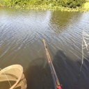 3�Ͷ���˷��������Ƥ���ʤ�˳ڤ��᤿�Ȼפ��ޤ�(*^_^*)