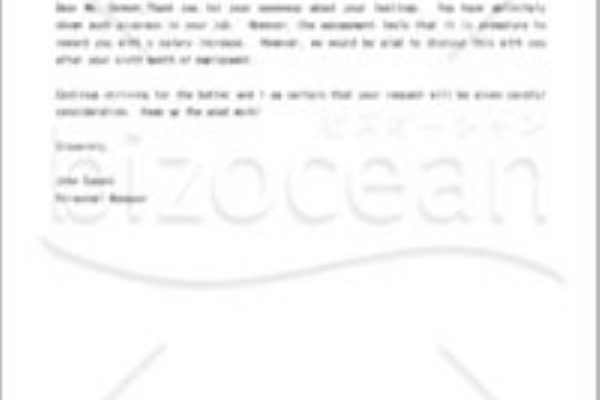 給与明細書テンプレート 英文