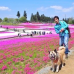 保護犬☆一星14年間の物語
