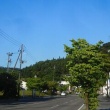 夕方　散歩