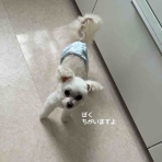 るいコハ日記
