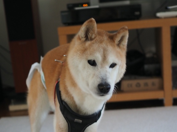 週末を迎えますが…