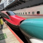 ディスカスの逍遥日誌