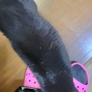 うれしいにゃ🎶