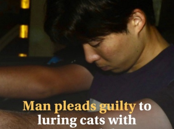 マルタ島で猫を多数殺したオカムラサトシ（岡村聡）、ホントに日本人？