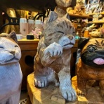 森の日曜日の看板犬もものblog