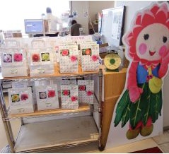 町の花ダリア球根