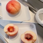 家ごもりｄｉａｒｙ