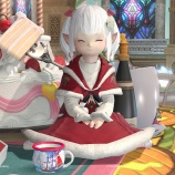 『【FF14】星芒祭2025で素敵なクリスマスを過ごしましたヾ(〃^∇^)ﾉ【FFXIV】星芒祭と心躍る一杯 演技教本:マグカップ マグカップセット キンダープッシュ』の画像