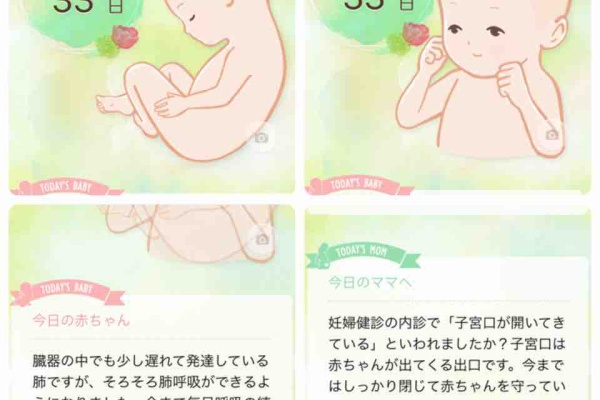 妊娠した日から思い立って書き始めた日記 つわり