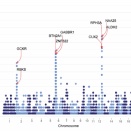 Genome-wide association studies in a large Korean cohort identify quantitative trait loci for 36 traits and illuminate their genetic architectures