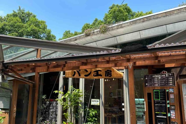 新愛媛風土記 熊本風土記 復刻版 – 丸善ジュンク堂書店ネットストア