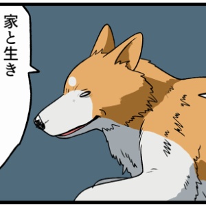 追記 たぶん何を犠牲にしても自分だけは生き残りたい猫 柴犬どんぐり三毛猫たんぽぽ Powered By ライブドアブログ