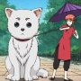 ドイツさん、『犬の散歩は1日2回、合計で1時間以上』という法律を作ってしまう…
