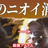 『【頭が臭い！！】行動のみで頭皮の臭いを消す方法！？現役看護師が徹底解説！！』の画像